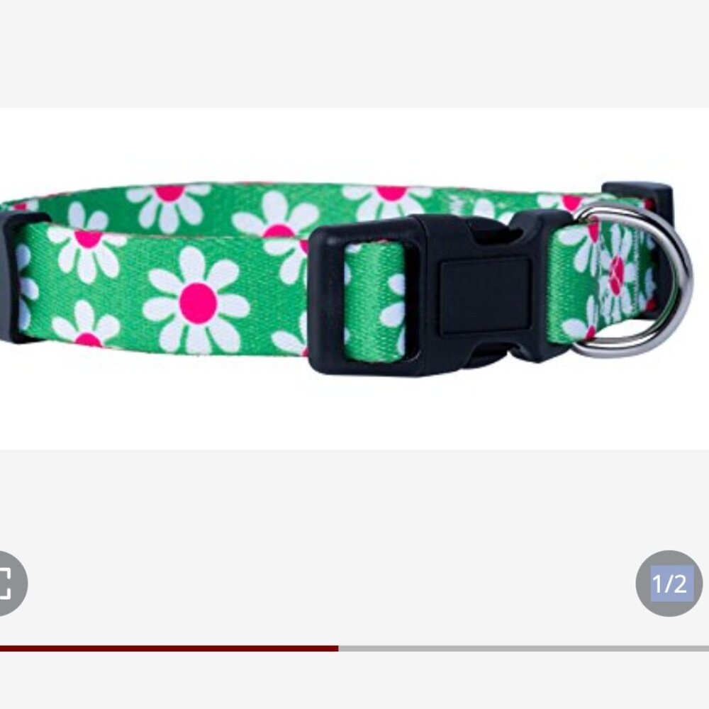 NEW  Flower Dog Collar Custom Paisley 12 Floral Patterns Adjustable DAISY PRINT
